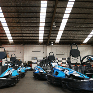 Adult Go Karts