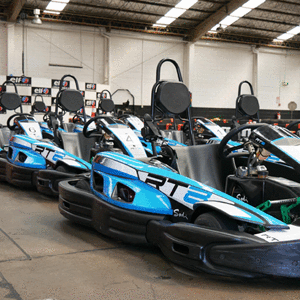 Sodi RT8s Adult Go Kart